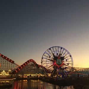 Meet your Posher, Taffi